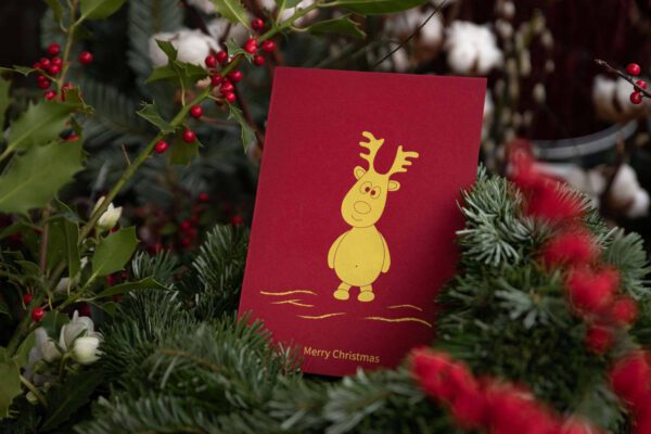 Epk store christmascards moritz christmas red | ein paar kreative