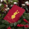 Epk store christmascards moritz holidays red | ein paar kreative