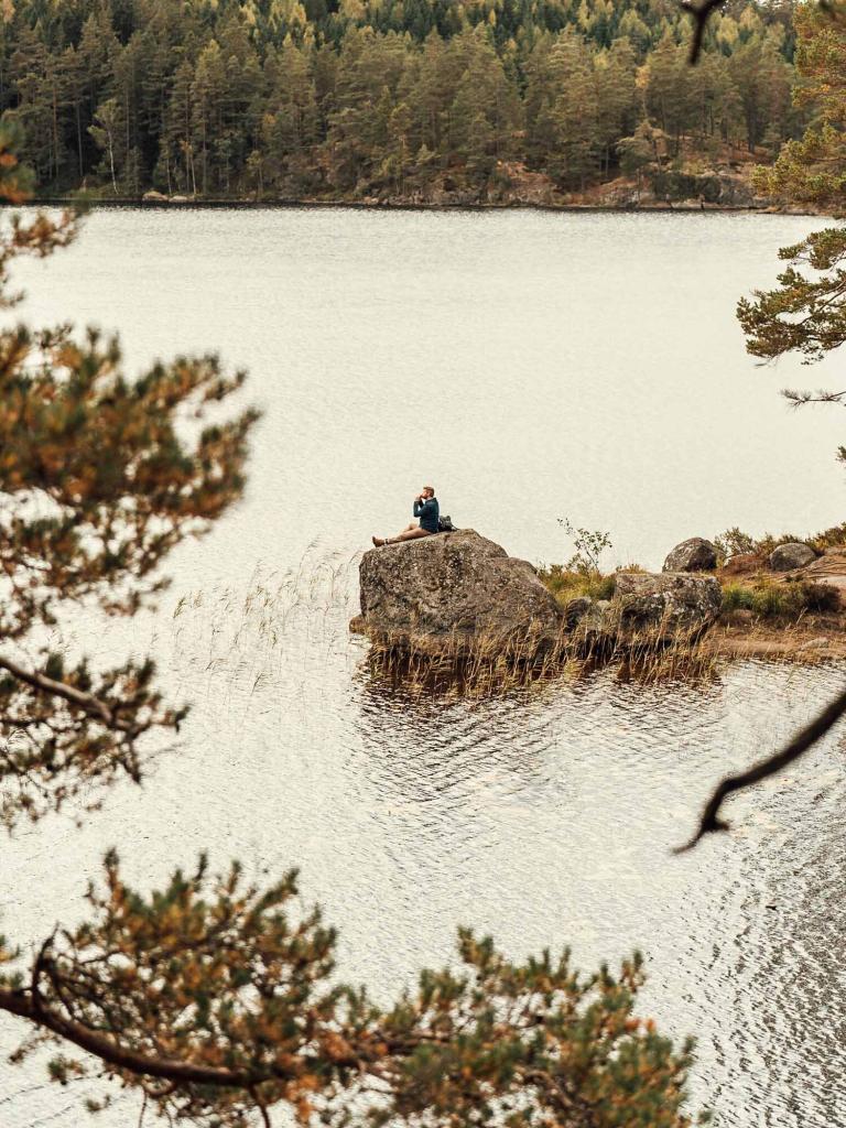 Tiveden nationalpark in schweden