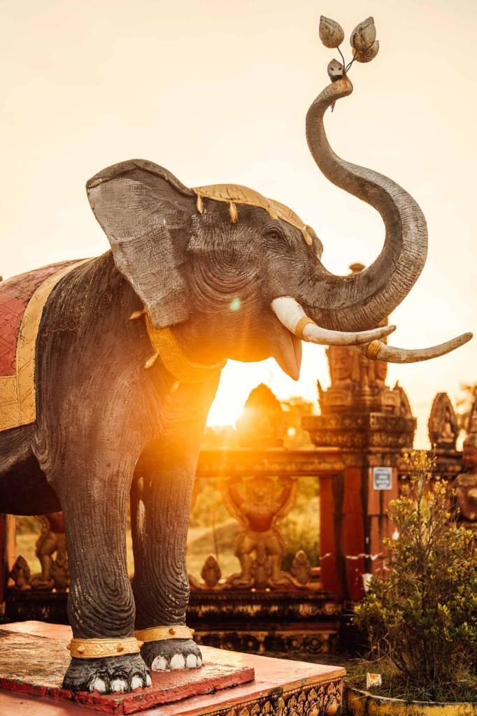 Buddhistischer elefant in kambodscha zum sonnenaufgang